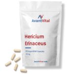 Hericium Erinaceus