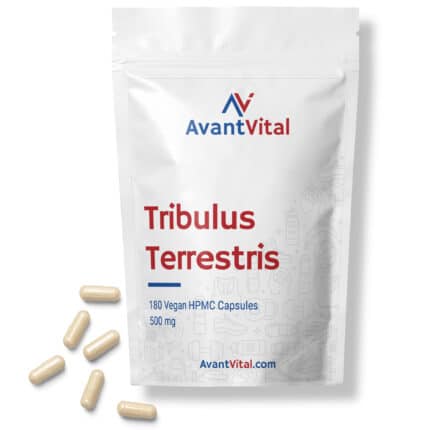 Tribulus Terrestris – 500 mg Botanische extracten AvantVital